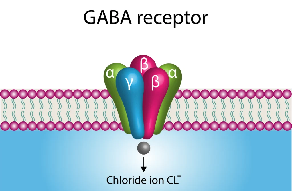 Gaba receptor illustration